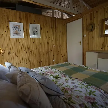 Feriehus Sosnowy Zakatek - Wakacyjny Nad Jeziorem W Lesie