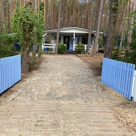 Sosnowy Zakatek - Wakacyjny Nad Jeziorem W Lesie 펜션 *