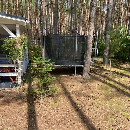 펜션 Sosnowy Zakatek - Wakacyjny Nad Jeziorem W Lesie *